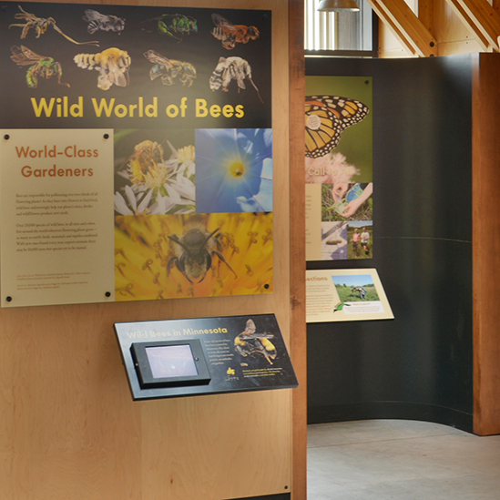 wild world of bees exhibit